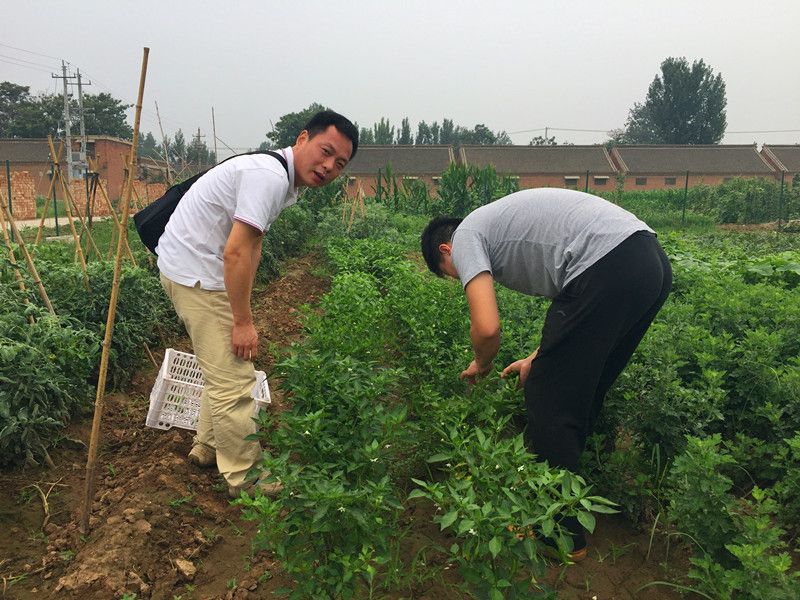 好利來(lái)郭總喊您來(lái)摘菜啦！綠色無(wú)公害，放心！